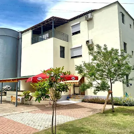Hotel Noka *
